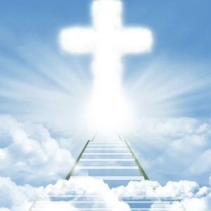 Meet your Posher, Brad